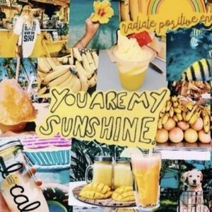 Meet your Posher, Prezlee